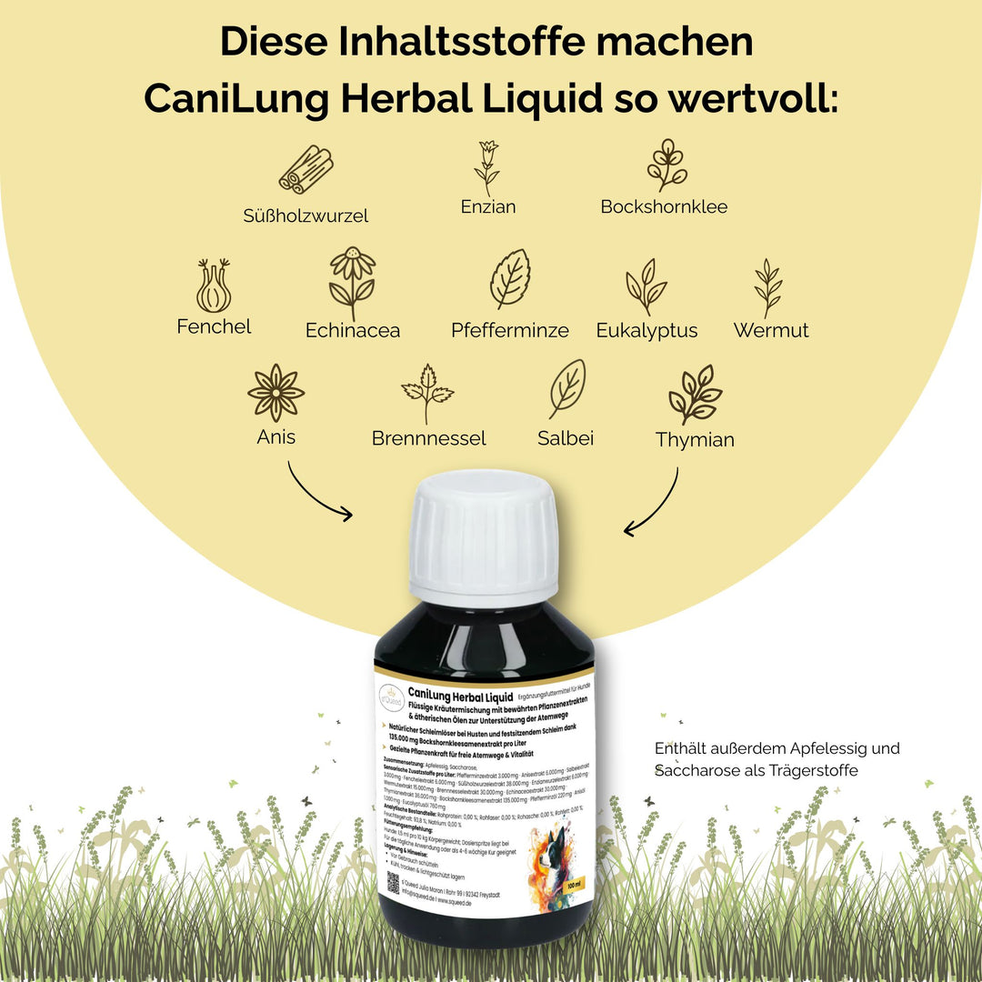 Hustensaft Hund, Schleimlöser Hund