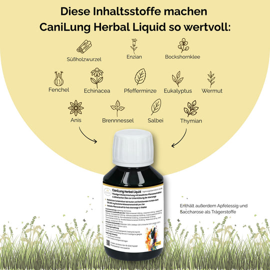 Hustensaft Hund, Schleimlöser Hund