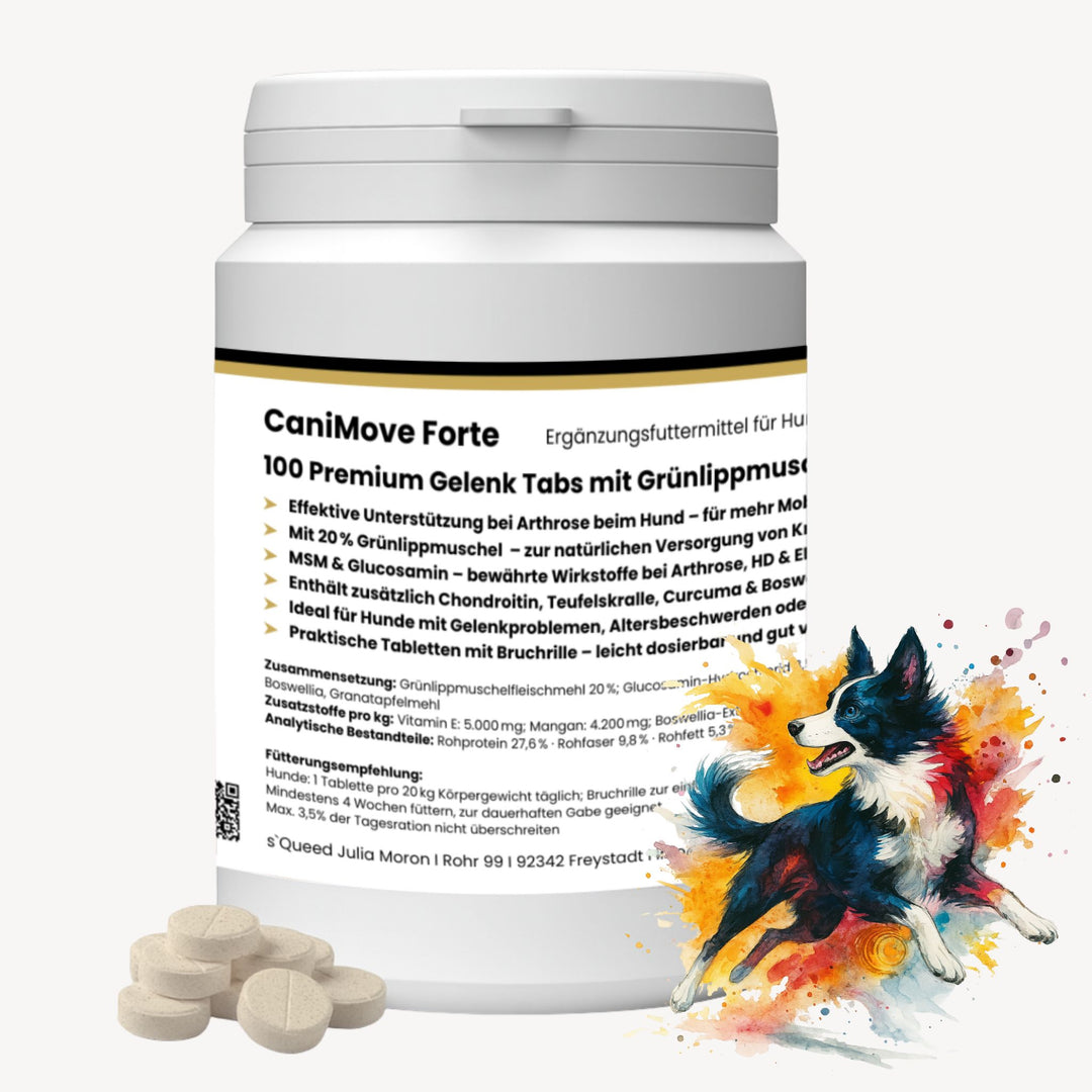 Gelenktabletten Arthrose Hund