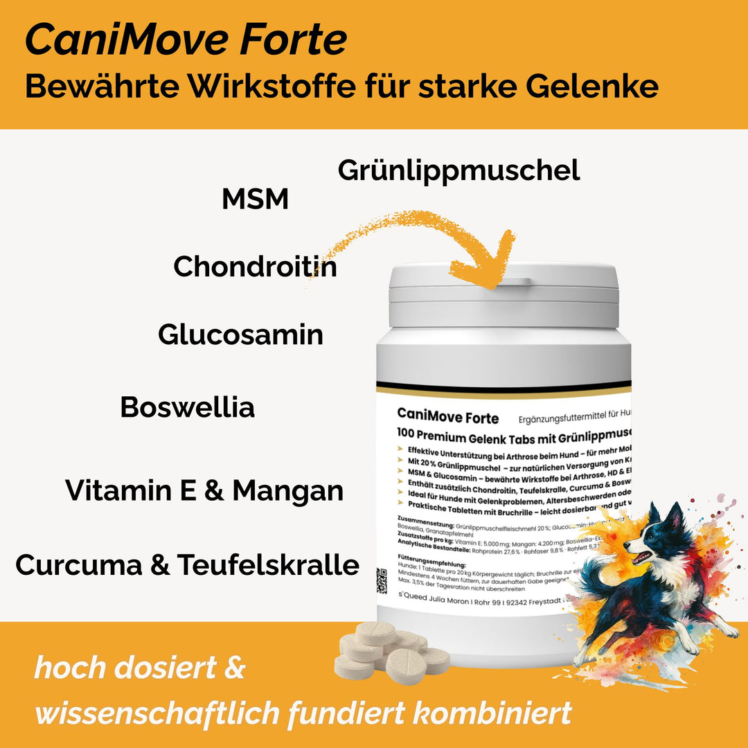 Gelenktabletten Arthrose Hund
