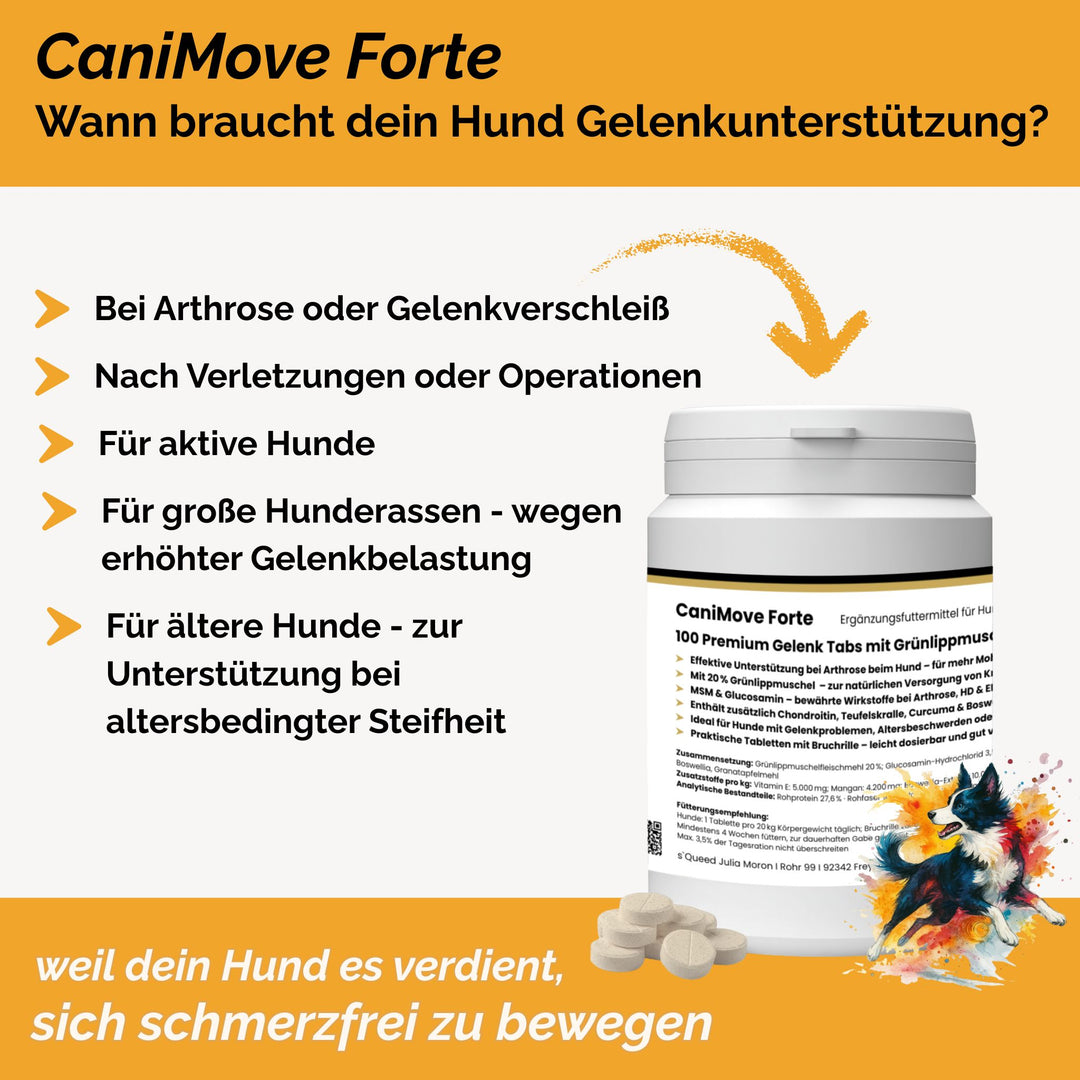 Gelenktabletten Arthrose Hund