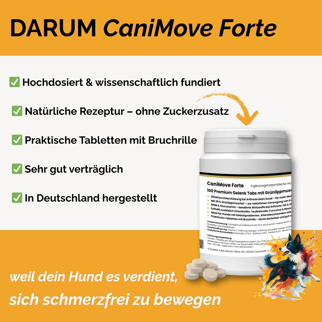 Gelenktabletten Arthrose Hund