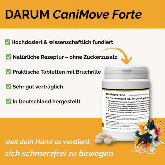 Gelenktabletten Arthrose Hund