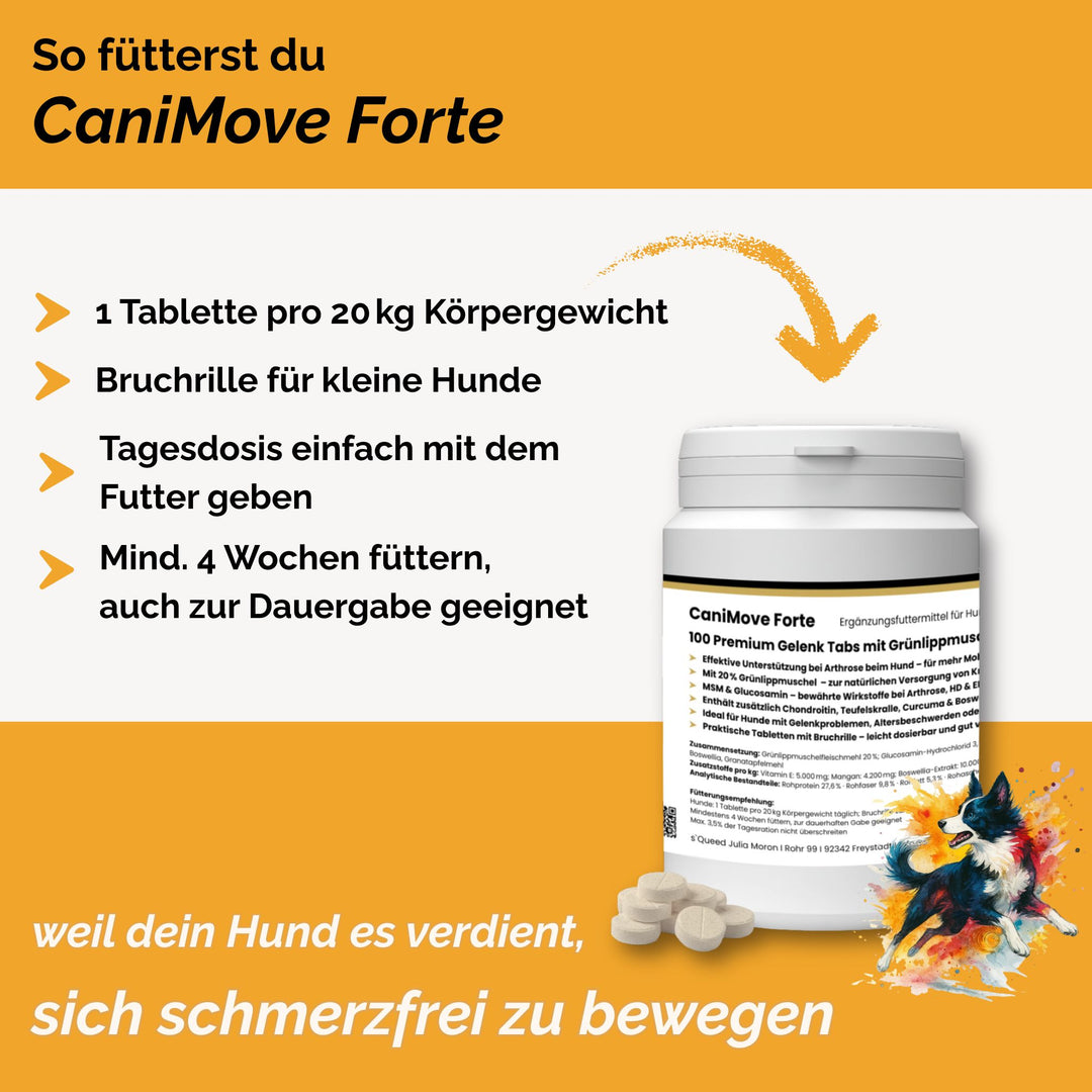 Gelenktabletten Arthrose Hund