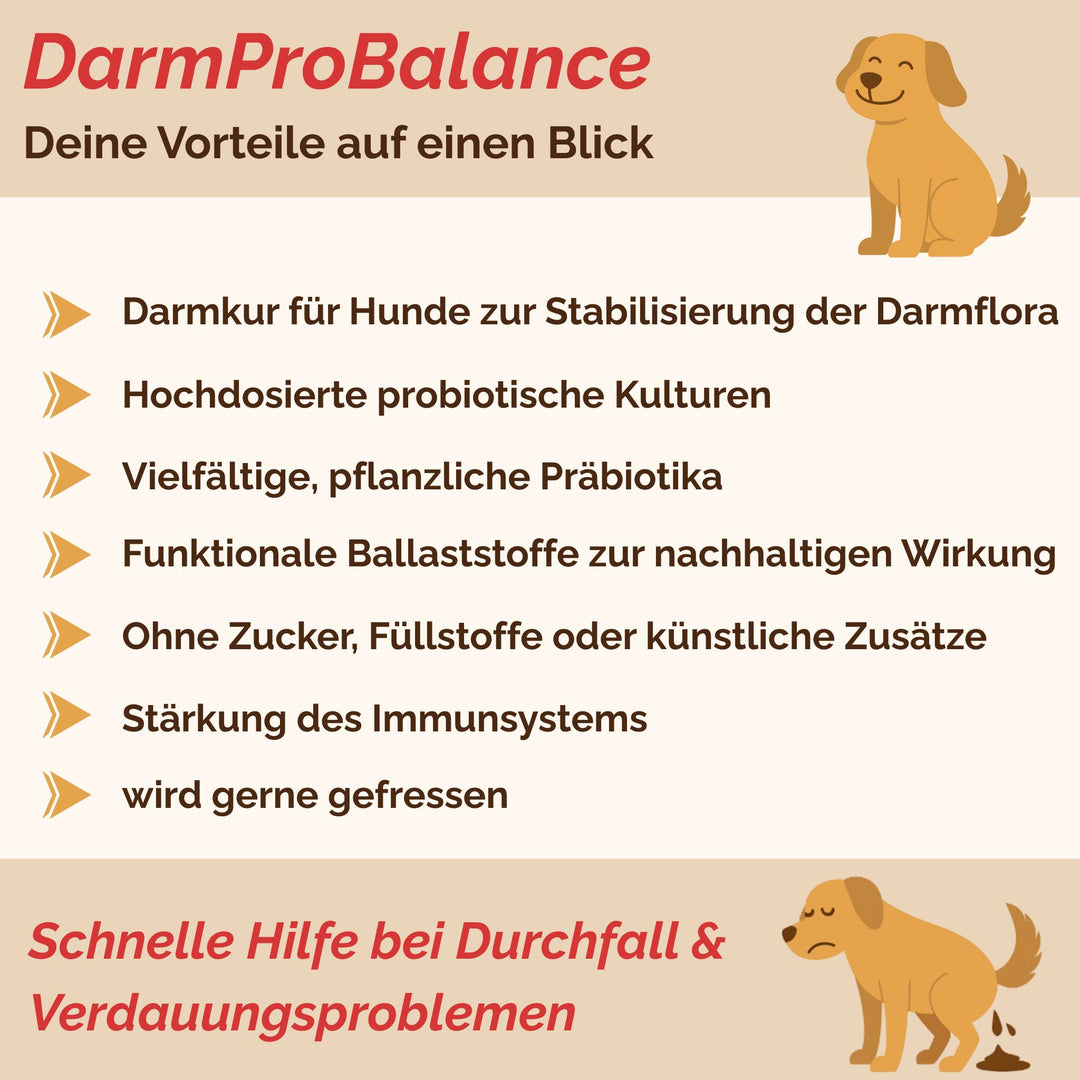 Darmpulver Hund - Durchfall Hund - Verdauungsprobleme Hund - Darmflora stabilisieren Hund