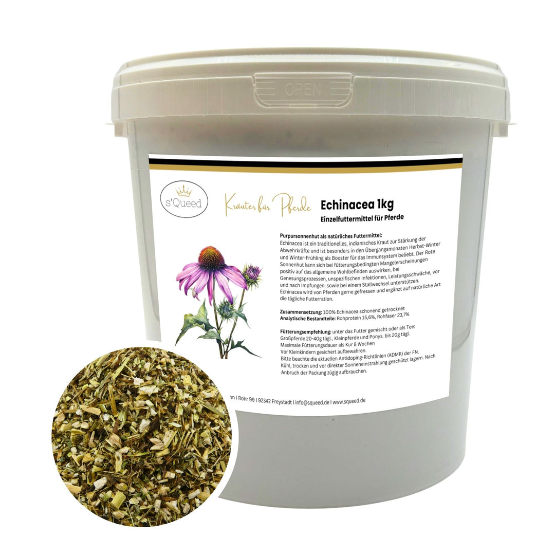Echinacea Pferd