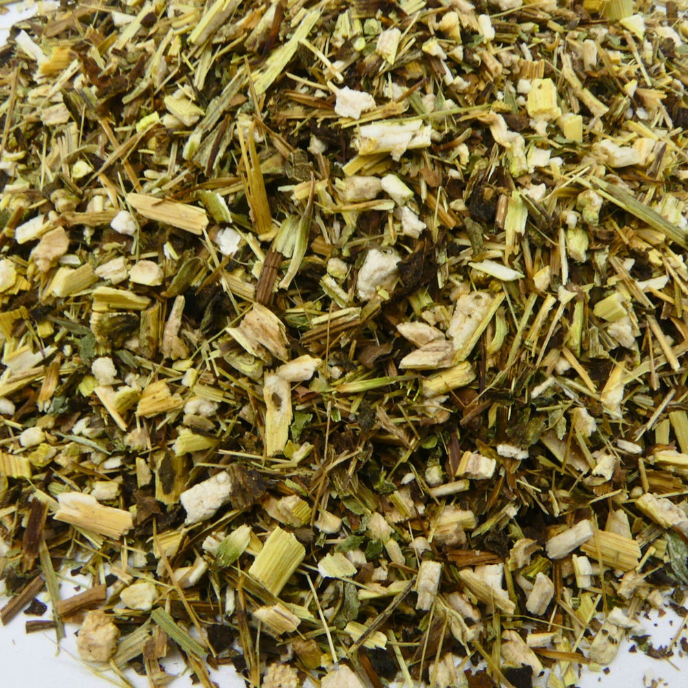 Echinacea Pferd