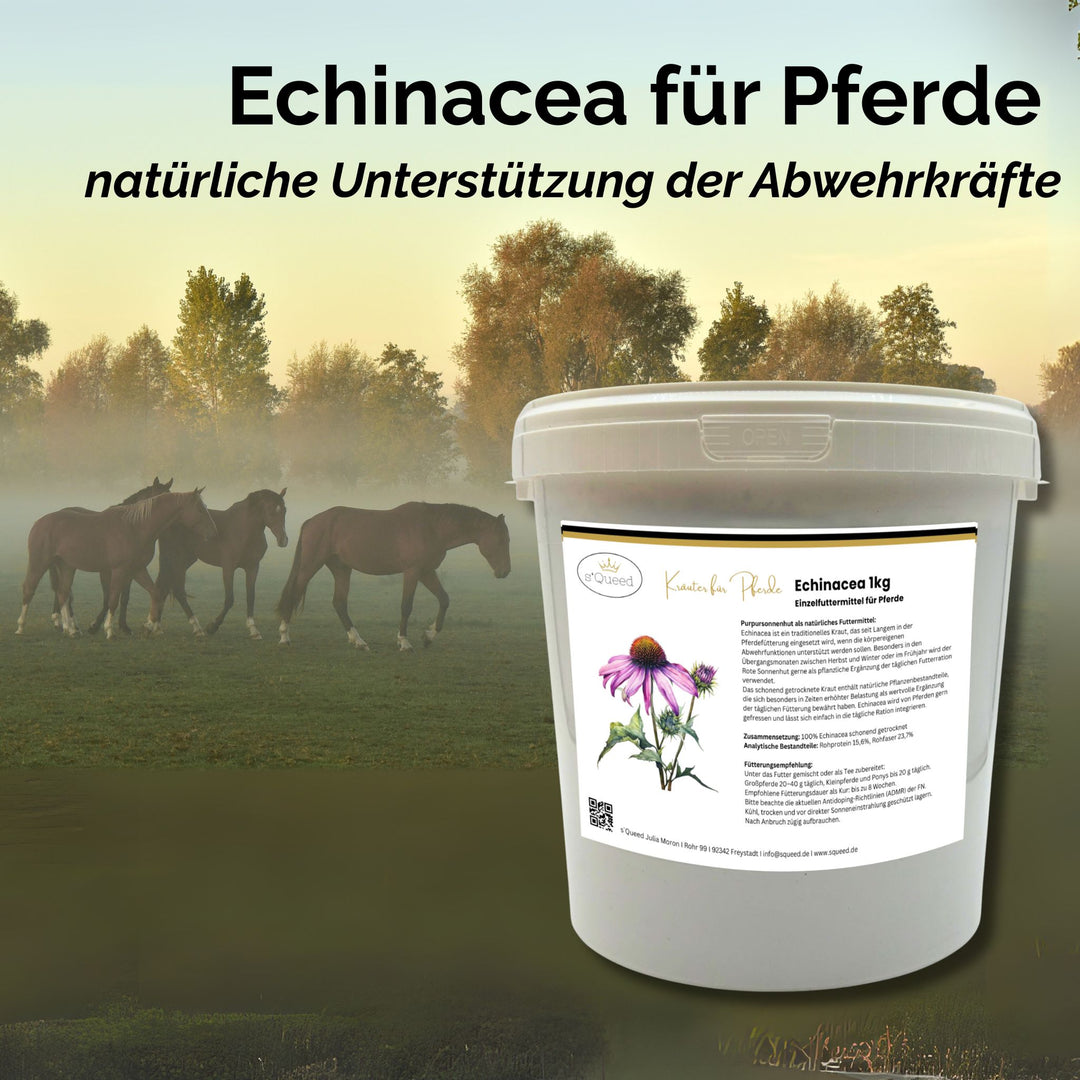 Echinacea Pferd 1kg