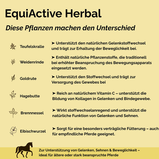 EquiActive Herbal – Kräutermischung zur Unterstützung von Beweglichkeit & Vitalität beim Pferd