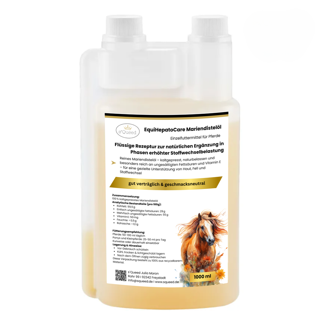 Fellwechsel Pferd unterstützen