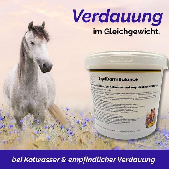 Zusatzfutter bei Kotwasser Pferd und Durchfall Pferd