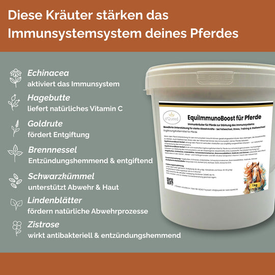 Immunkräuter für Pferde zur Stärkung des Immunsystems