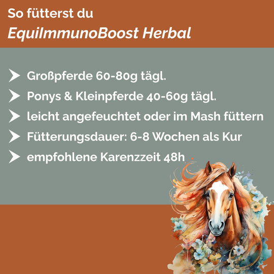 Immunkräuter für Pferde zur Stärkung des Immunsystems