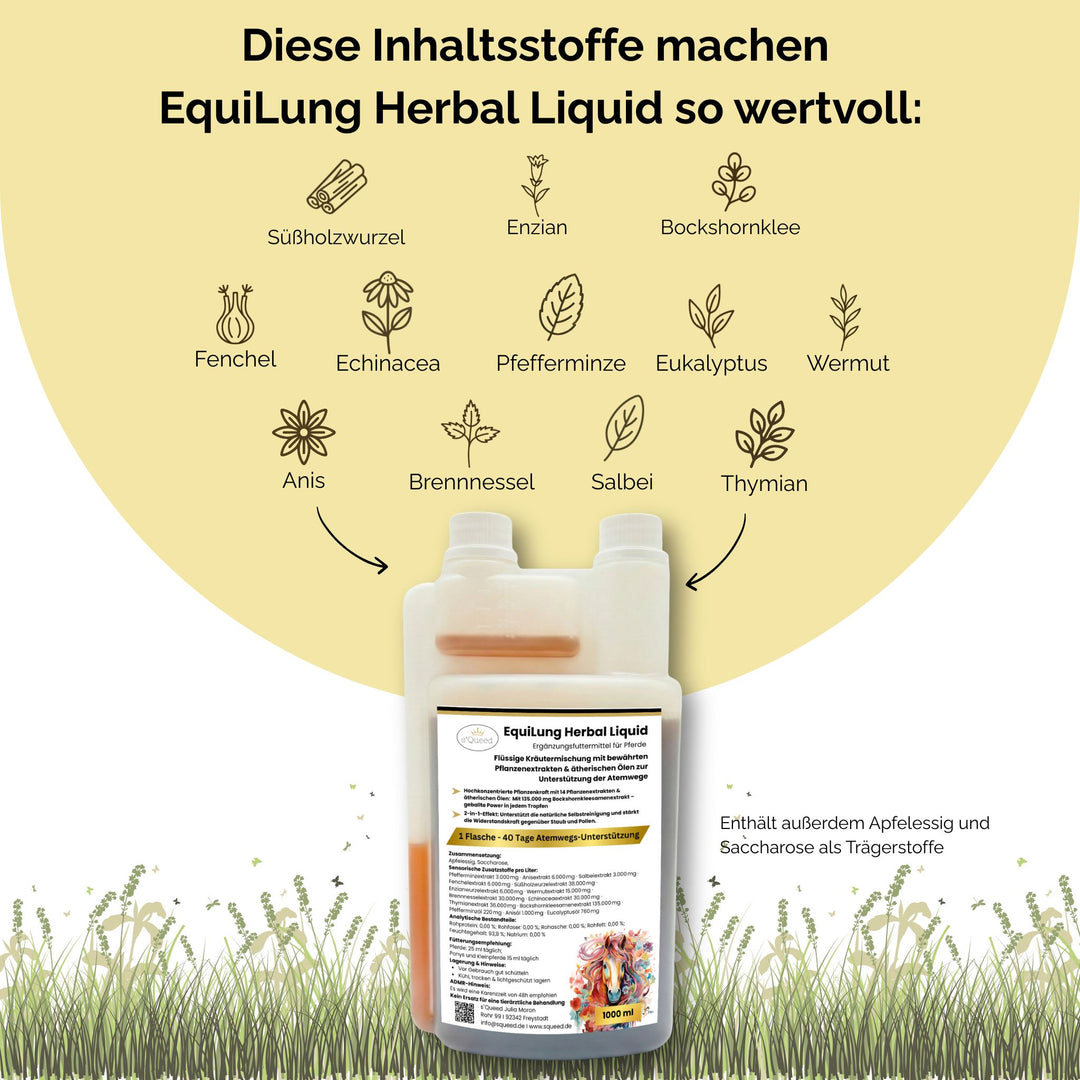 flüssige Hustenkräuter für Pferde
