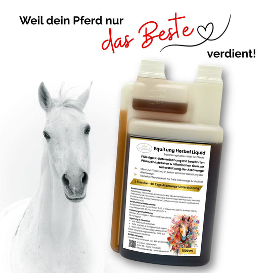 Hustenkräuter für Pferde, Hustensaft Pferd