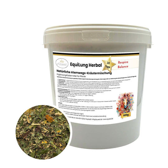 Hustenkräuter für Pferde