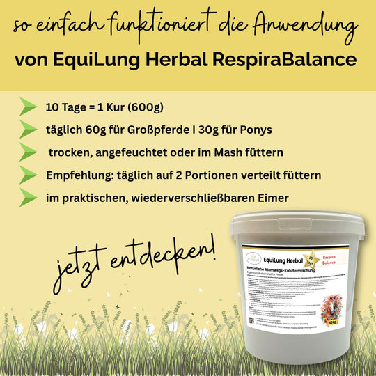 Hustenkräuter für Pferde