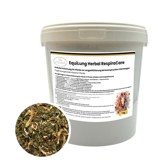 Hustenkräuter für Pferde