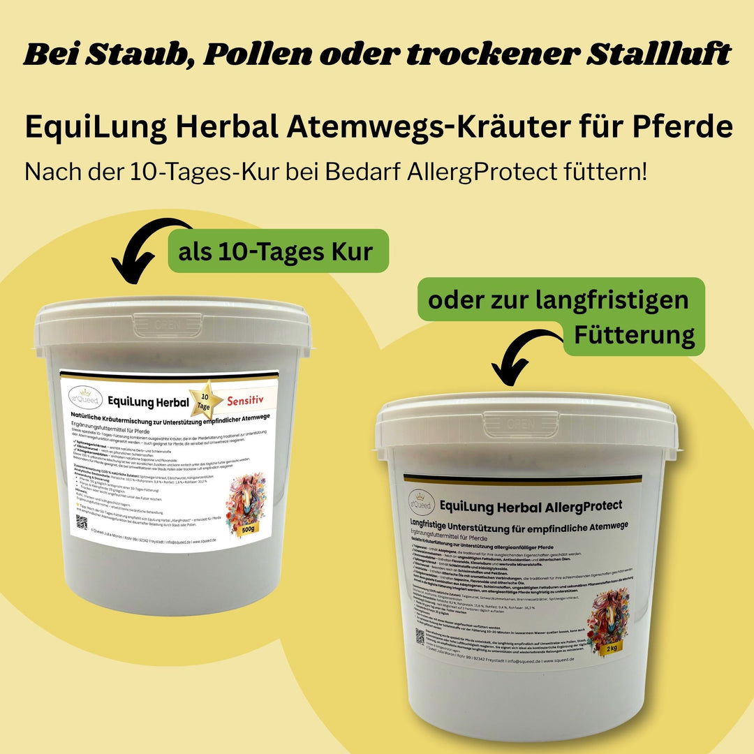 EquiLung Herbal „Sensitiv“ – Hustenkräuter für Pferde zur Unterstützung empfindlicher Atemwege (10 Tage Fütterung)