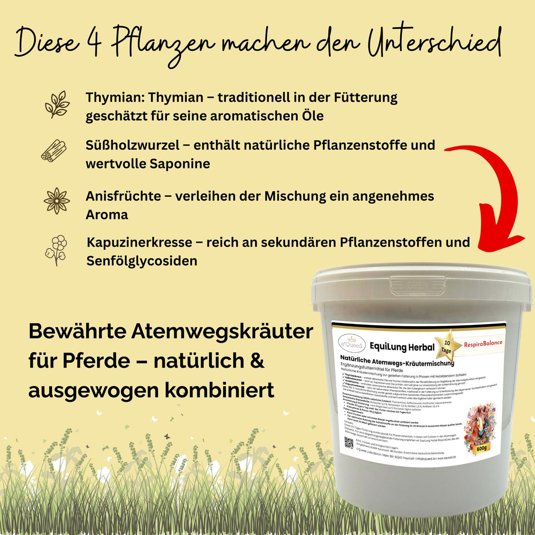 EquiLung Herbal RespiraBalance – Kräutermischung für Pferde in Phasen erhöhter Schleimbildung oder bei beanspruchten Atemwegen