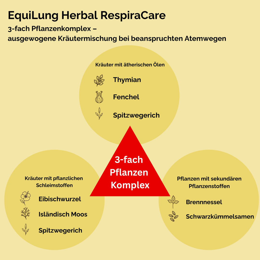 EquiLung Herbal RespiraCare – Kräutermischung für Pferde zur Langzeitfütterung bei beanspruchten Atemwegen