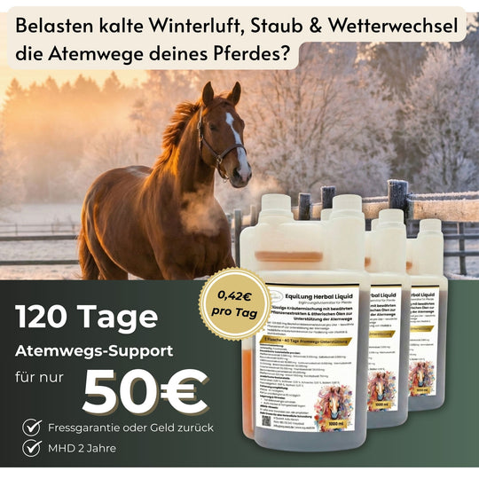 Vorteilspaket 3 × EquiLung Herbal Liquid – Flüssiges Ergänzungsfuttermittel für Pferde bei beanspruchten Atemwegen