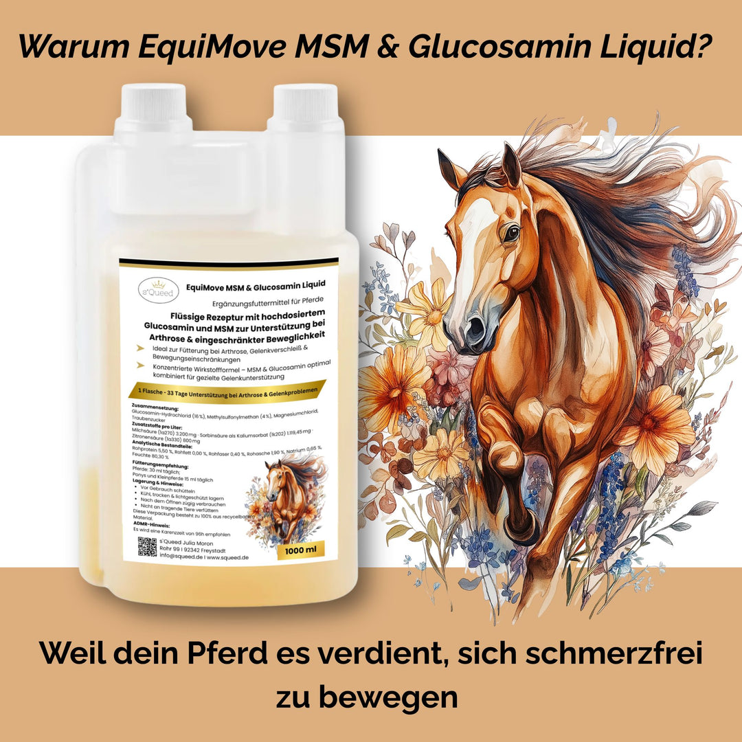 MSM & Glucosamin Pferd, Arthrose Pferd