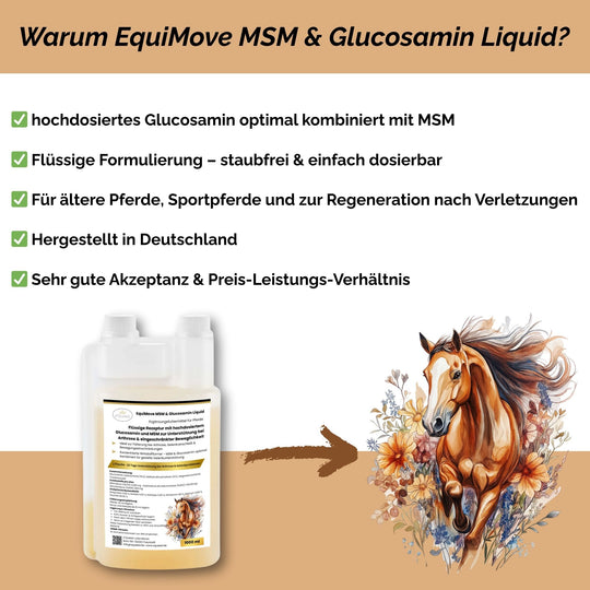 MSM & Glucosamin Pferd, Arthrose Pferd
