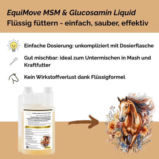 MSM & Glucosamin Pferd, Arthrose Pferd