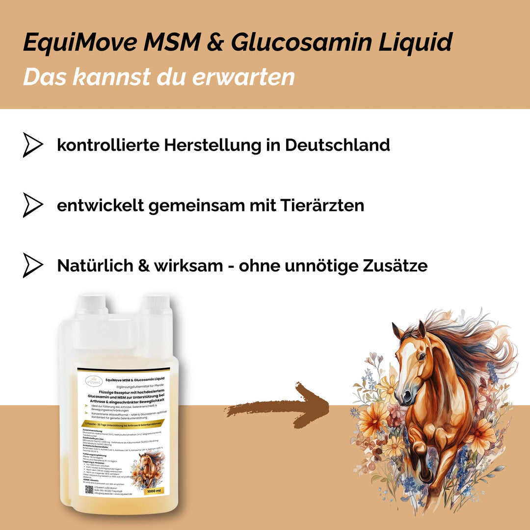 MSM & Glucosamin Pferd, Arthrose Pferd
