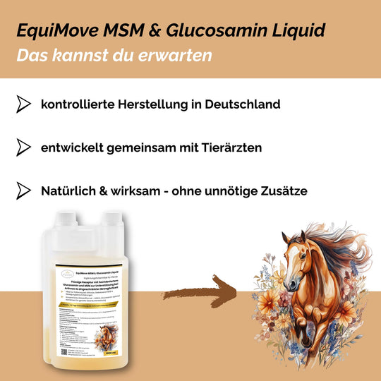 MSM & Glucosamin Pferd, Arthrose Pferd
