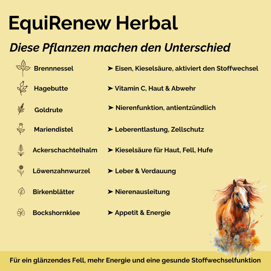 Stoffwechselkur Pferd