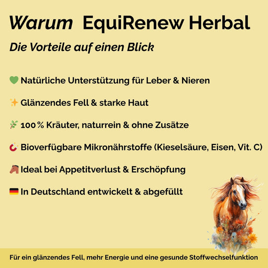 Stoffwechselkur Pferd