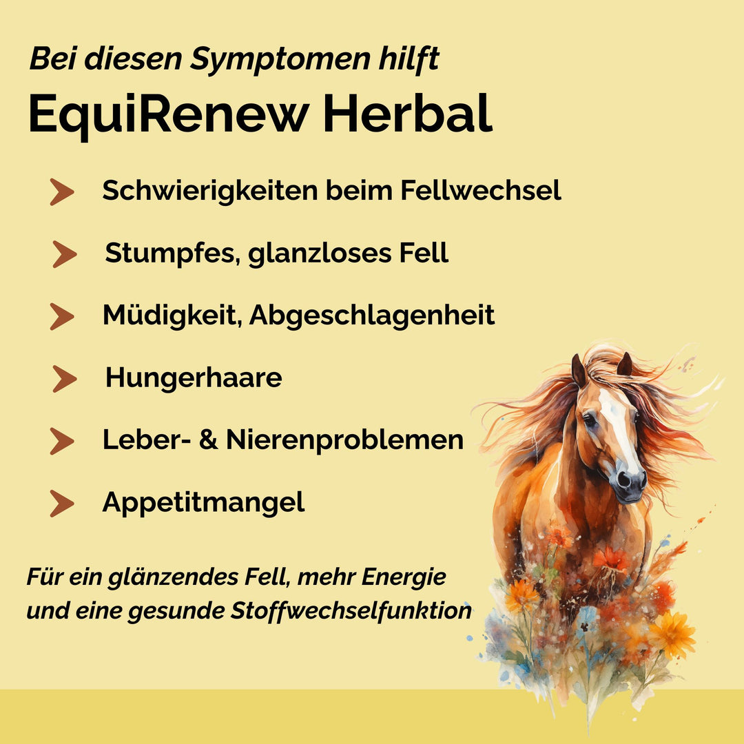 Stoffwechselkur Pferd