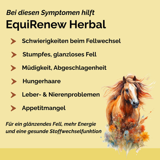 Stoffwechselkur Pferd