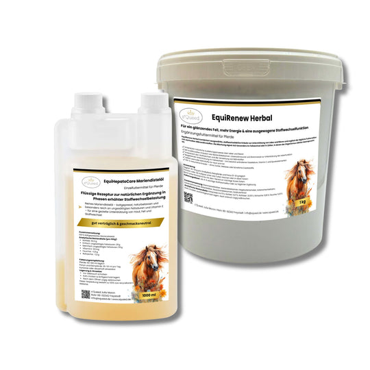 Fellwechsel Paket: Fellwechsel beim Pferd unterstützen