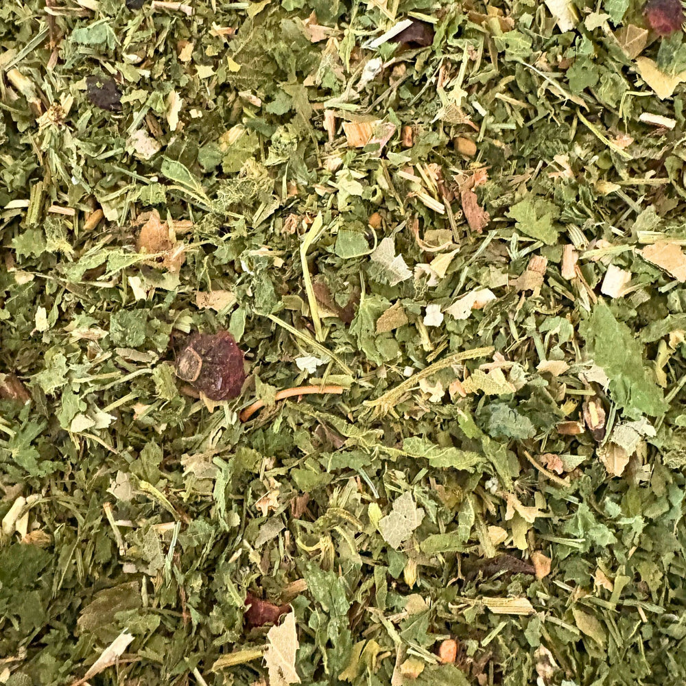 Fellwechsel Paket: Fellwechsel beim Pferd unterstützen