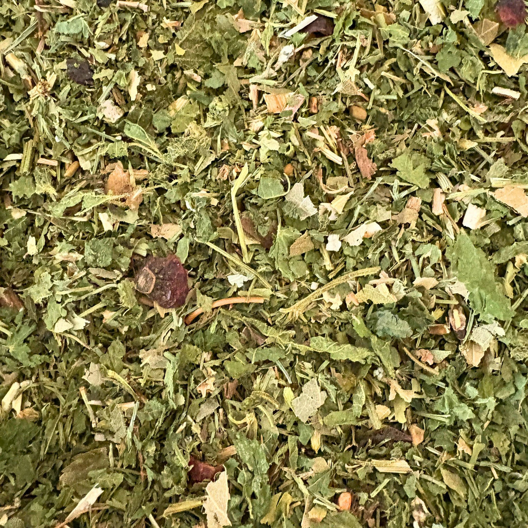 Fellwechsel Pferd unterstützen