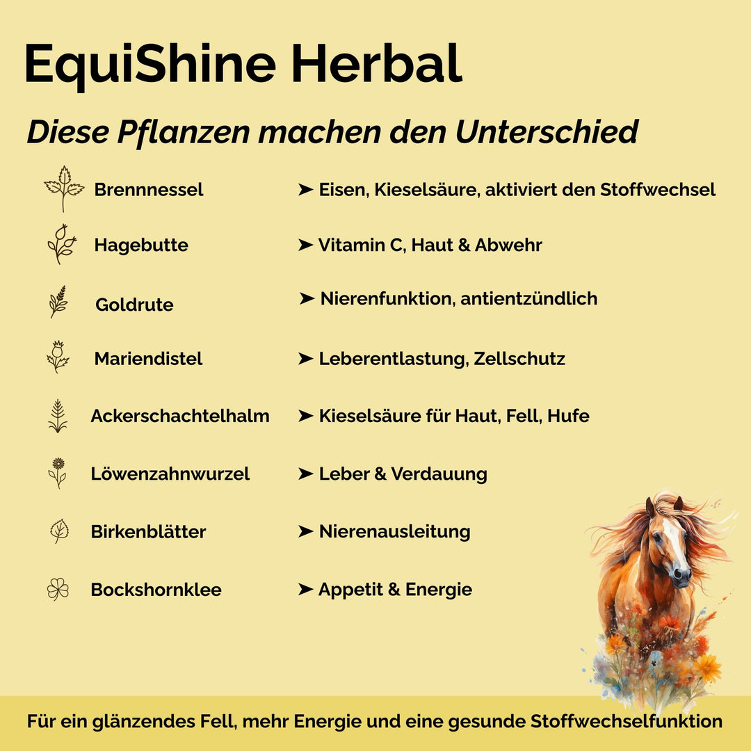 Stoffwechselkur Pferd