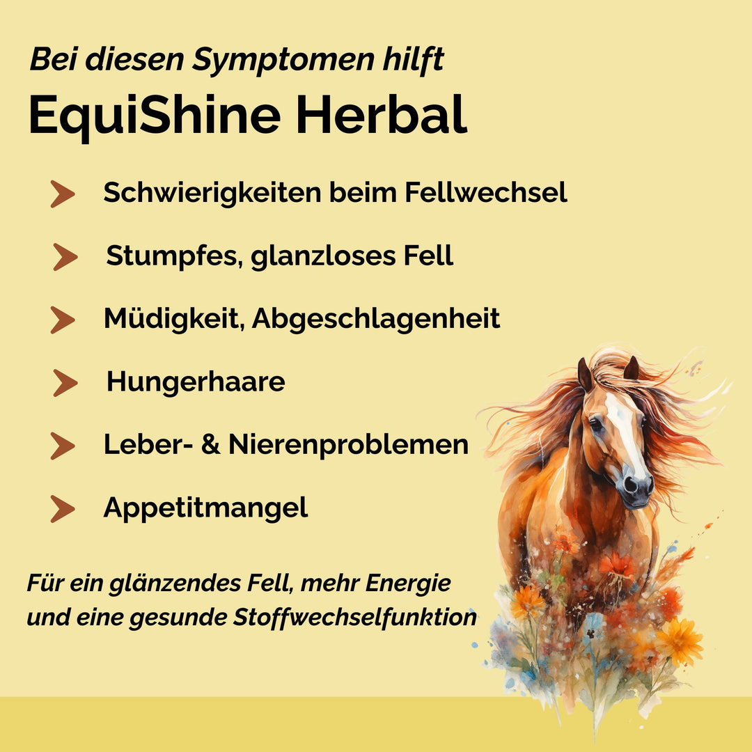 Stoffwechselkur Pferd