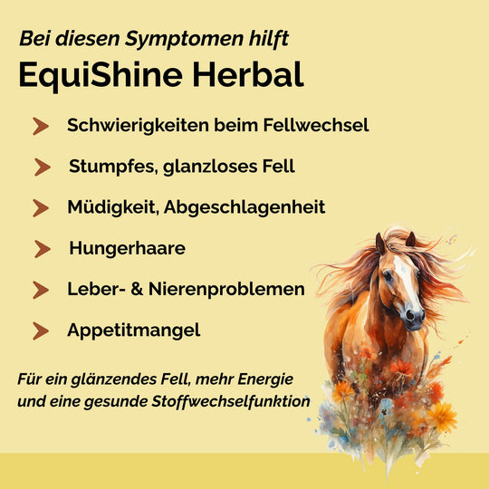 Stoffwechselkur Pferd