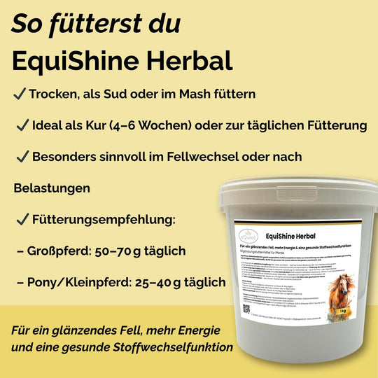 Stoffwechselkur Pferd