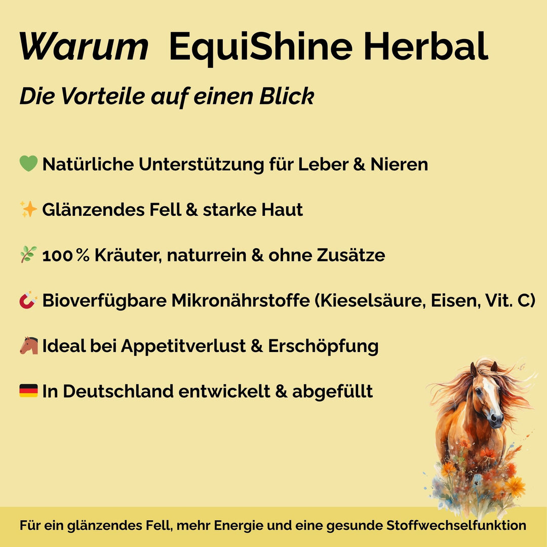 Stoffwechselkur Pferd