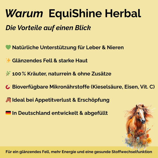 Stoffwechselkur Pferd