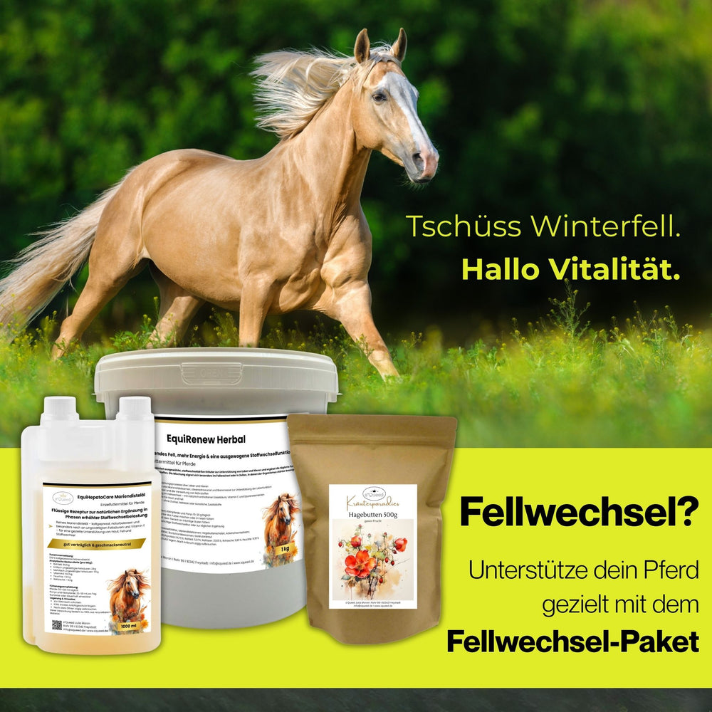 Fellwechsel Pferd unterstützen