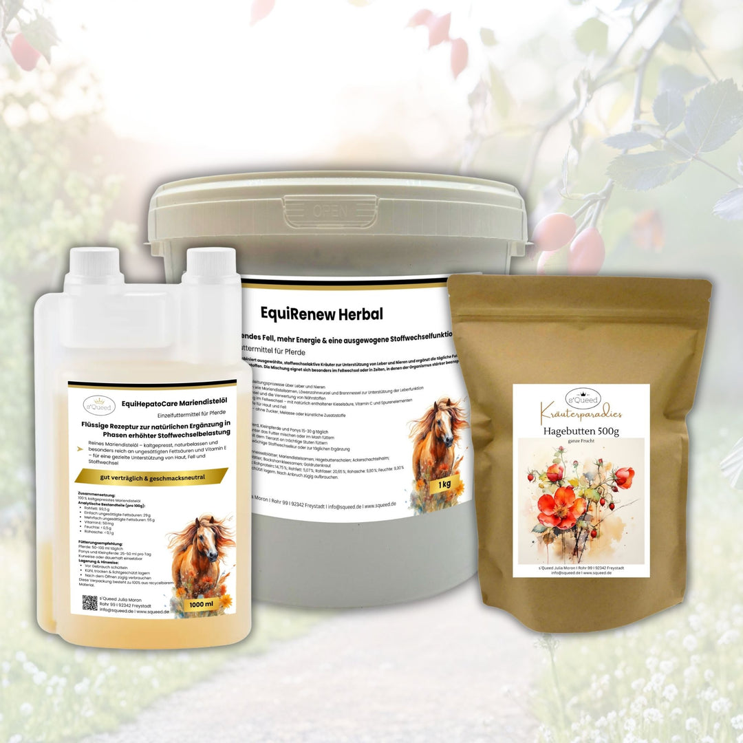 Fellwechsel Pferd unterstützen