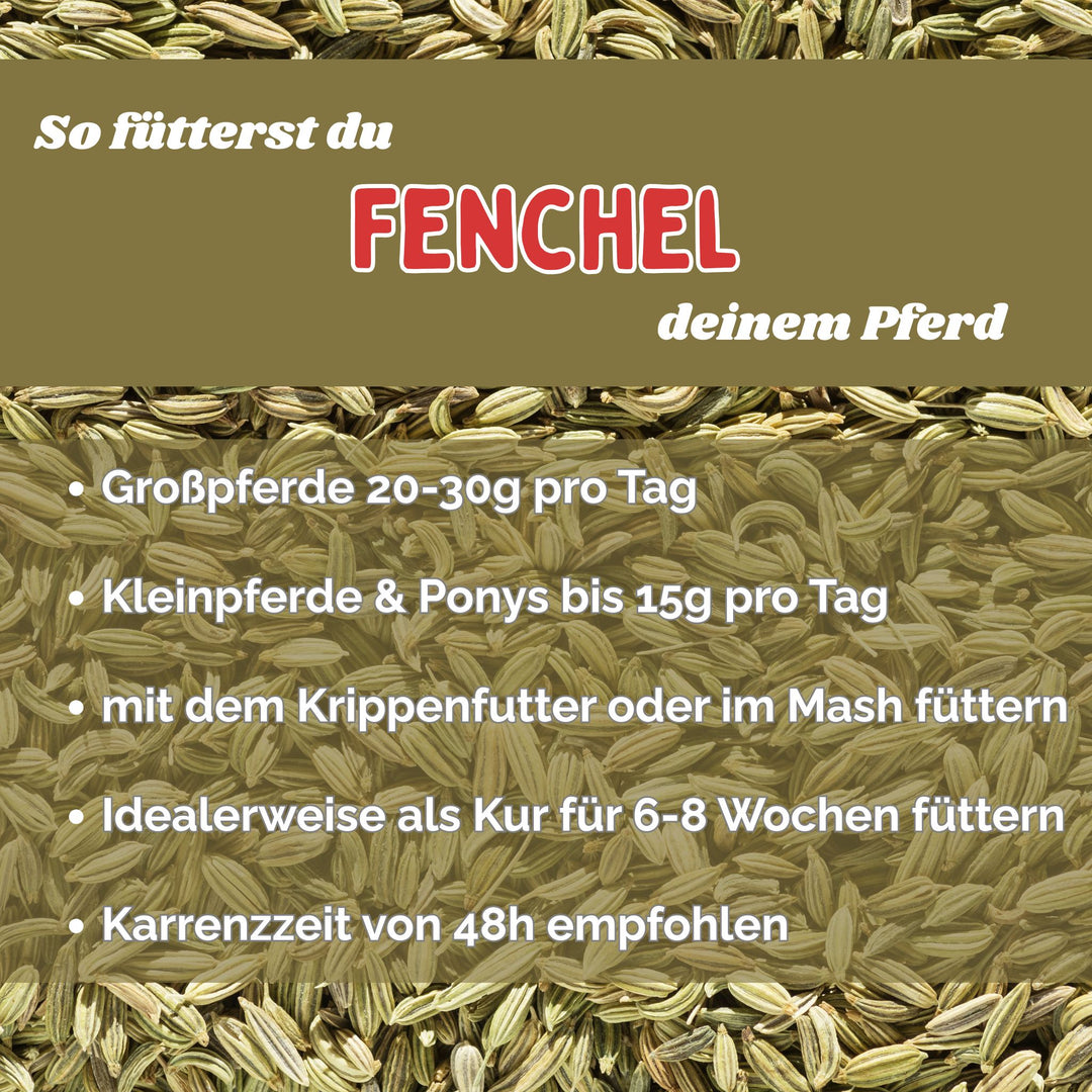 Fenchel Pferd Hustenkräuter für Pferde Magenkräuter Pferd