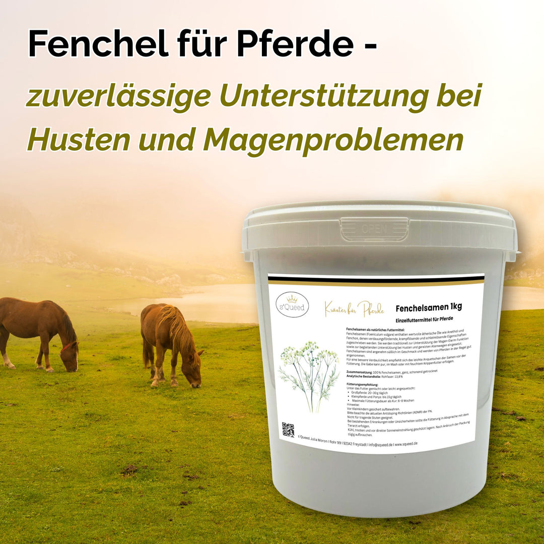 Fenchel Pferd Hustenkräuter für Pferde Magenkräuter Pferd