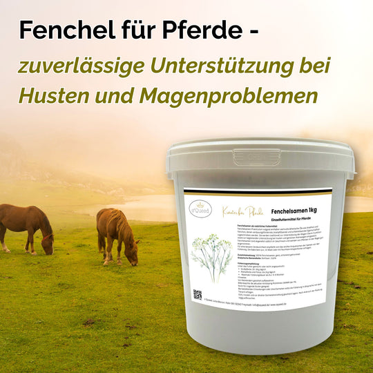 Fenchel Pferd Hustenkräuter für Pferde Magenkräuter Pferd