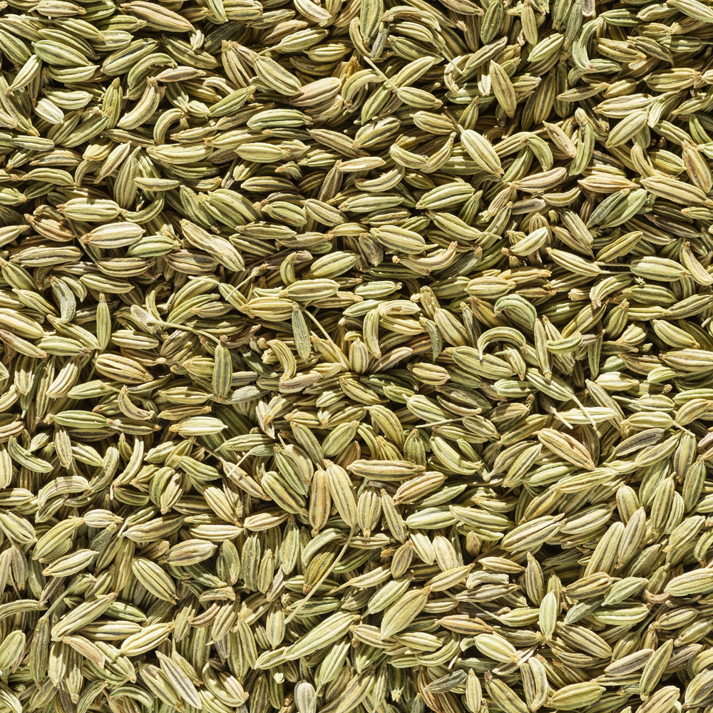 Fenchel Pferd Hustenkräuter für Pferde Magenkräuter Pferd